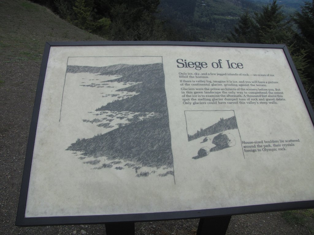 IMG 3473