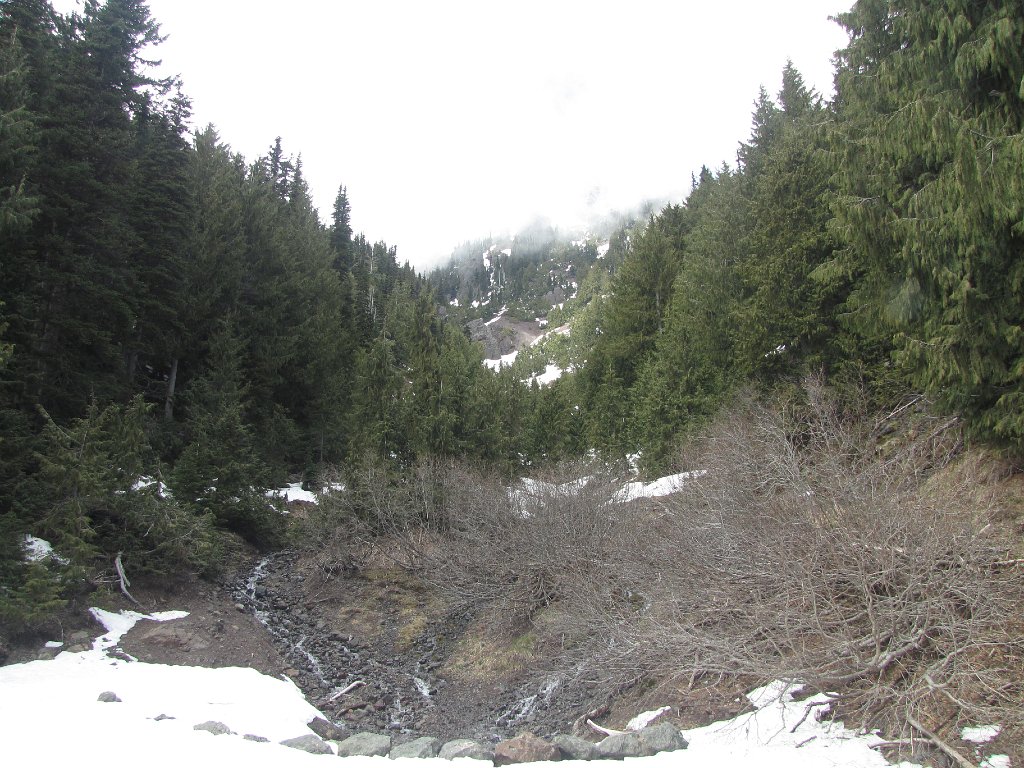 IMG 3499