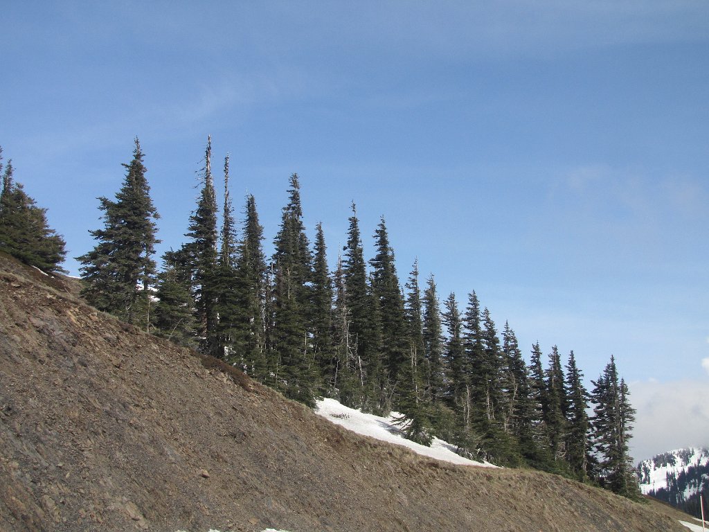 IMG 3525