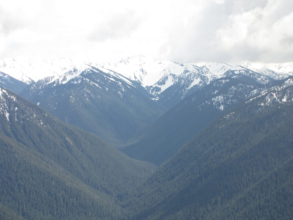 IMG 3526