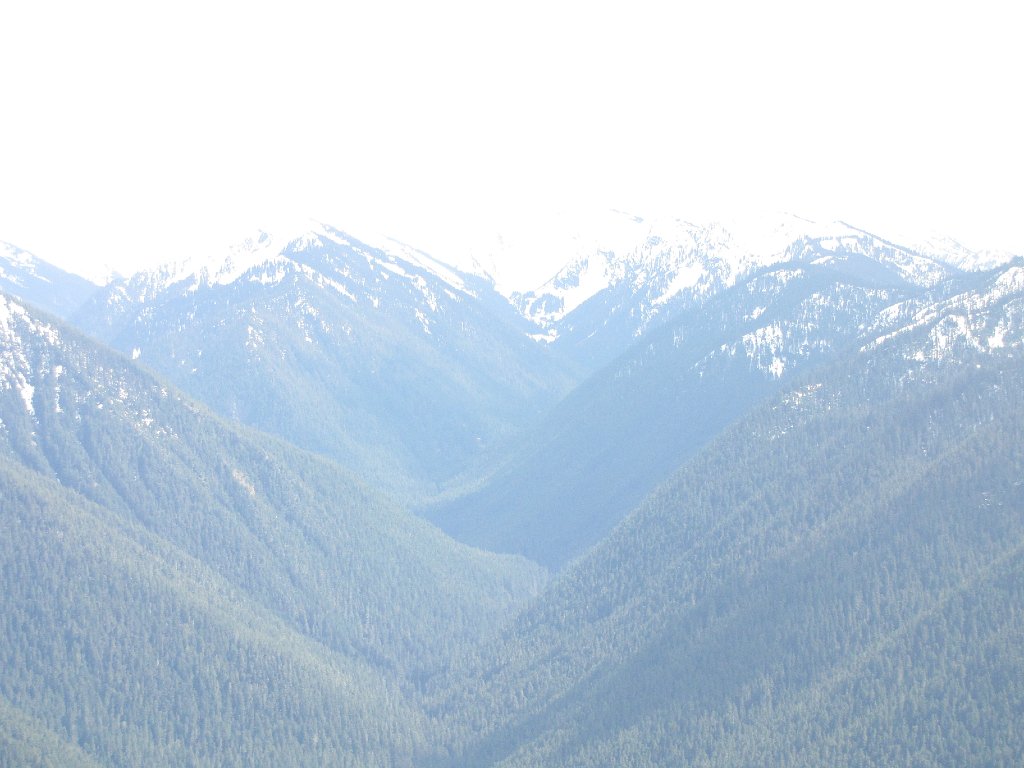 IMG 3528