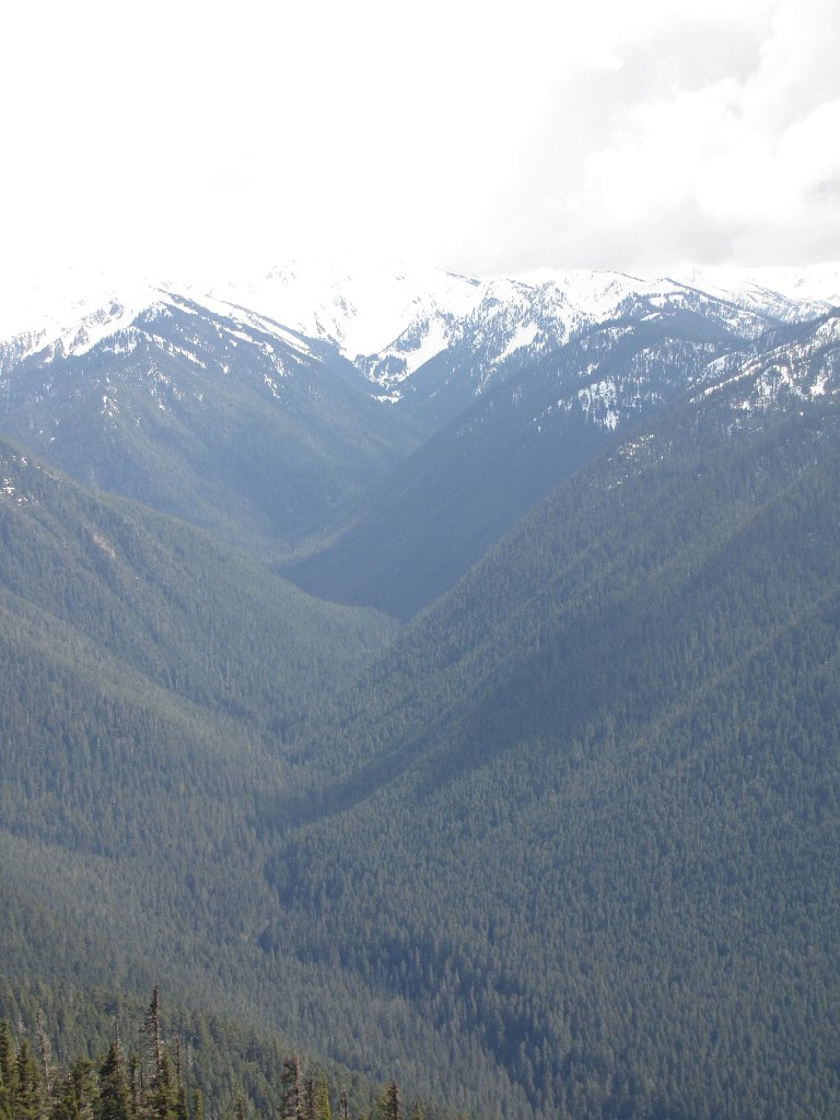 IMG 3529