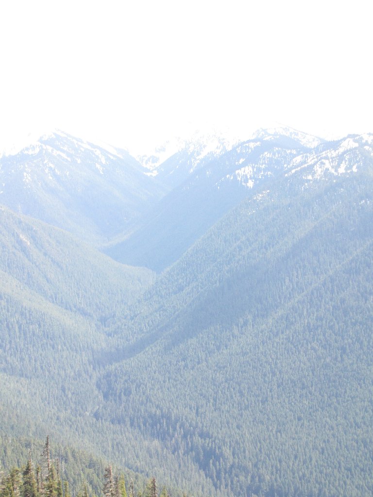 IMG 3531
