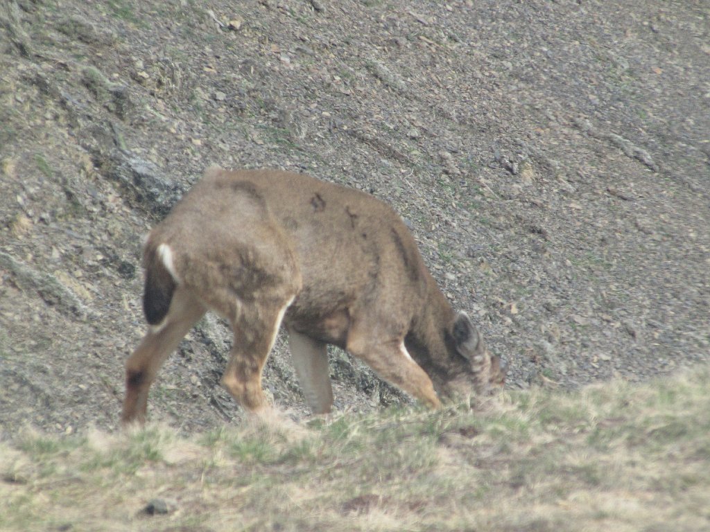 IMG 3535