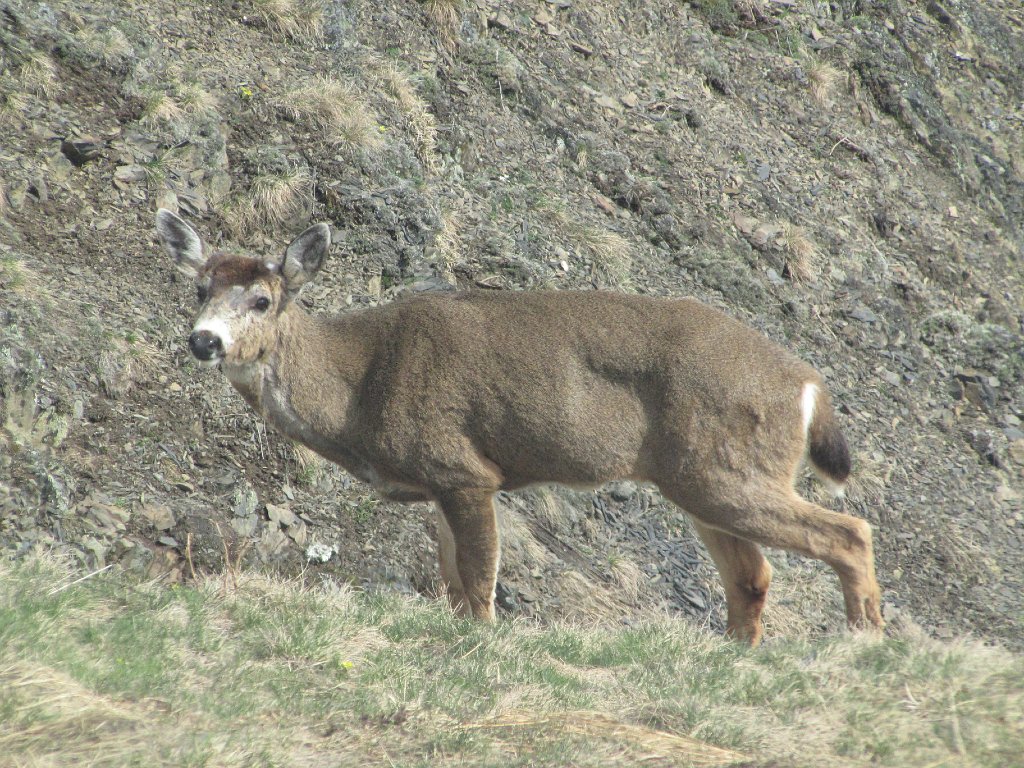 IMG 3538