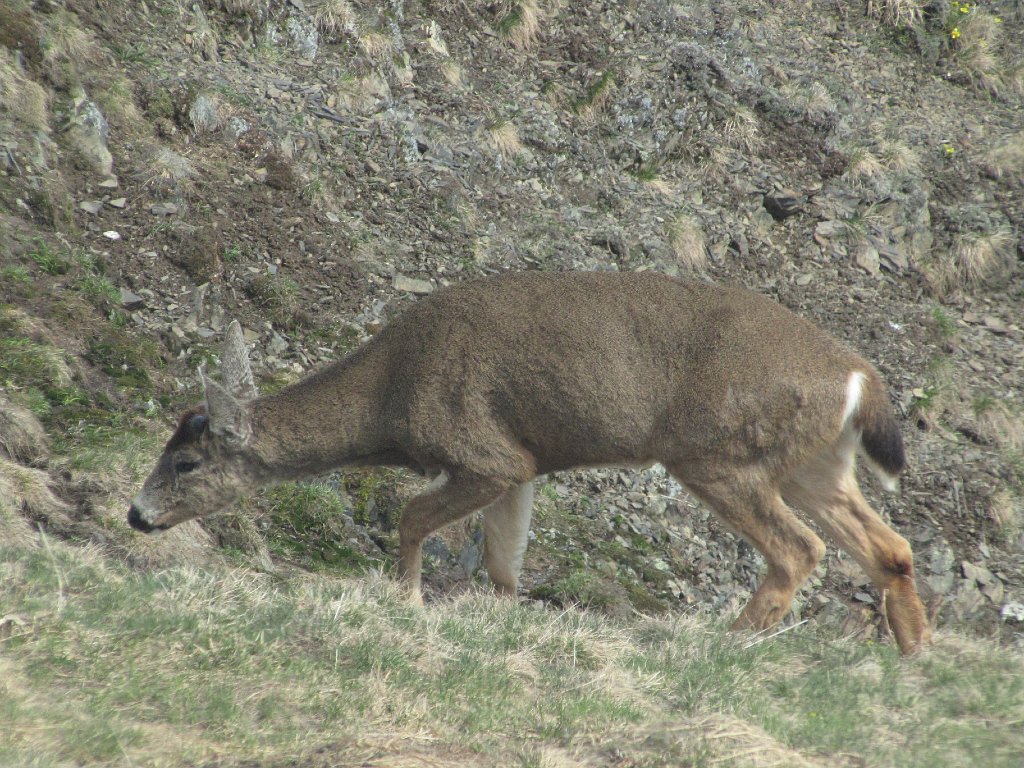 IMG 3540
