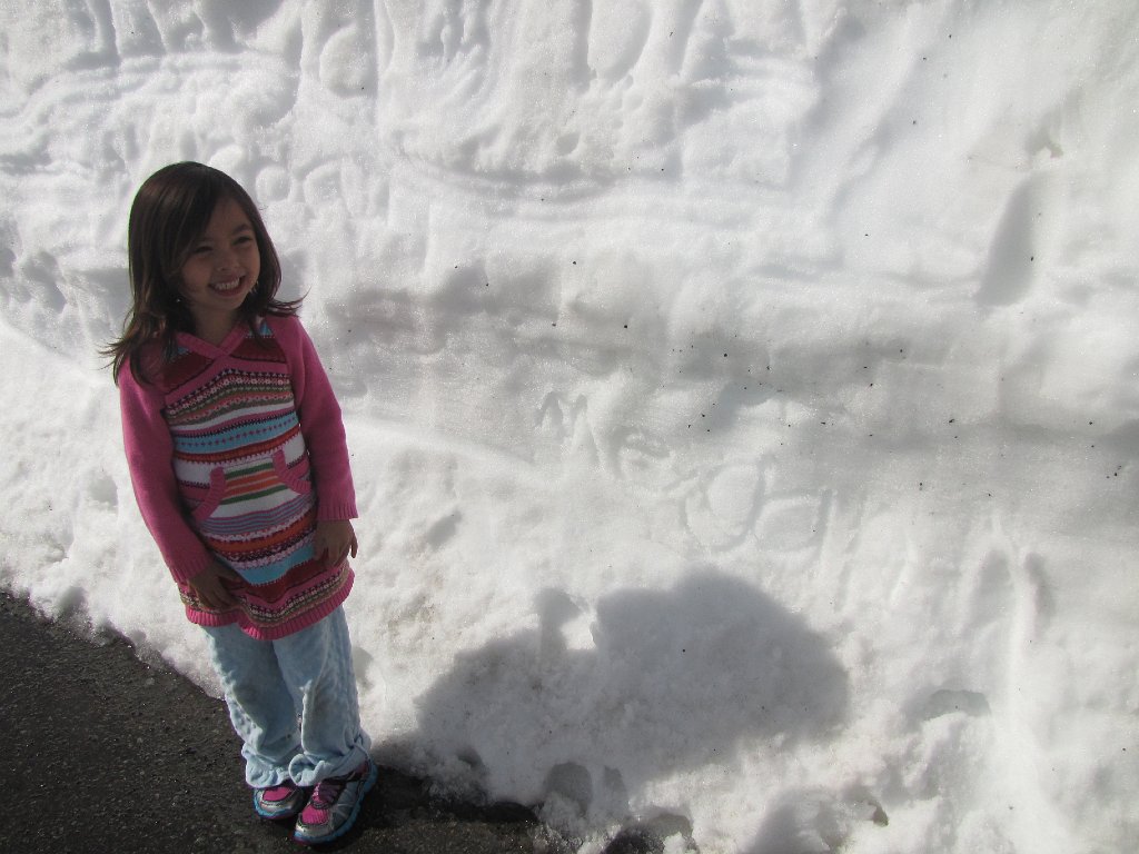 IMG 3593