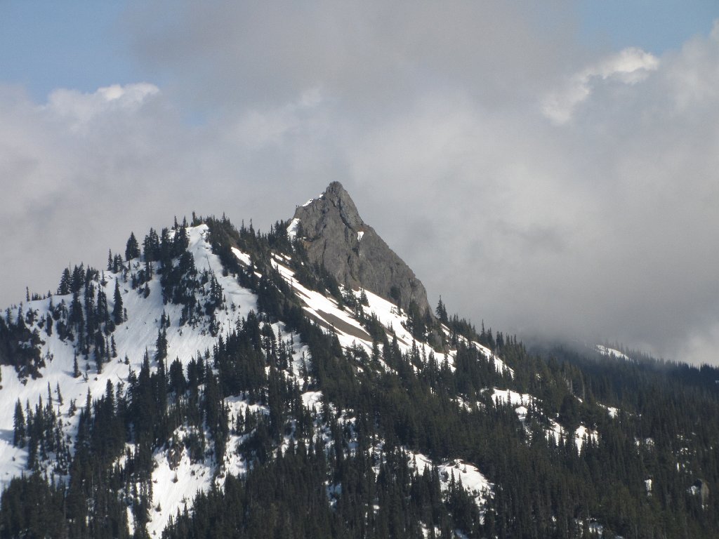 IMG 3625