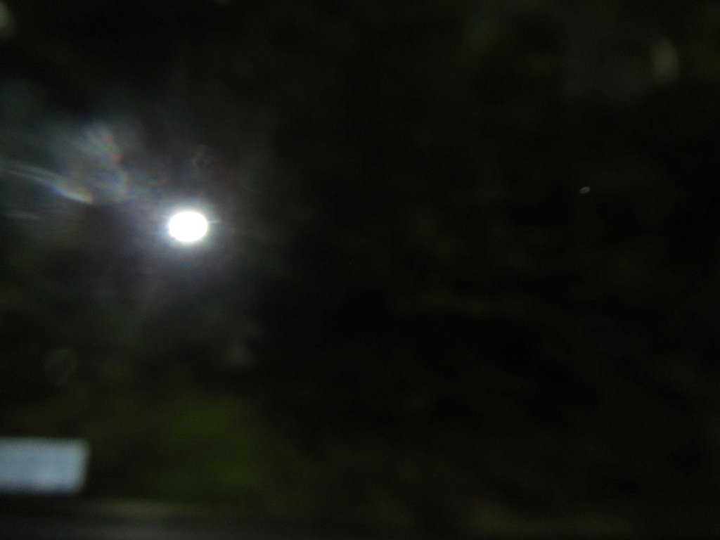 IMG 2324