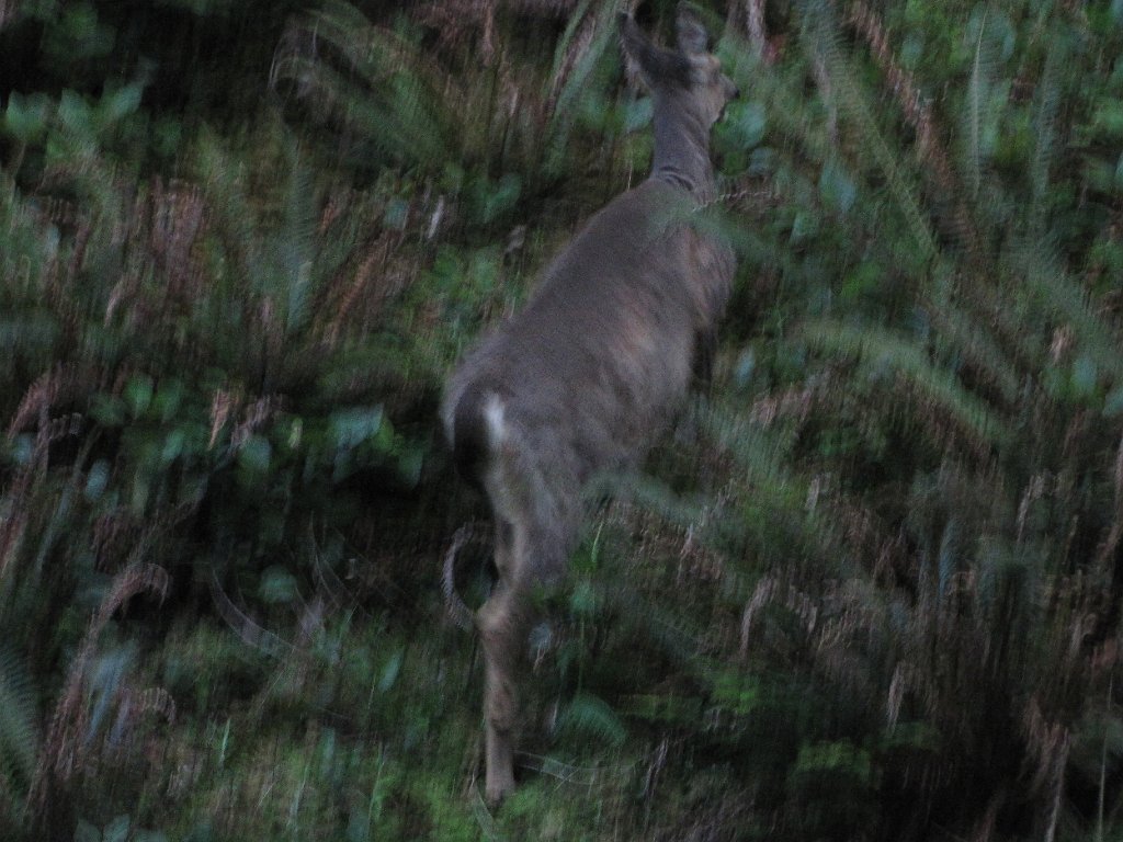 IMG 3693