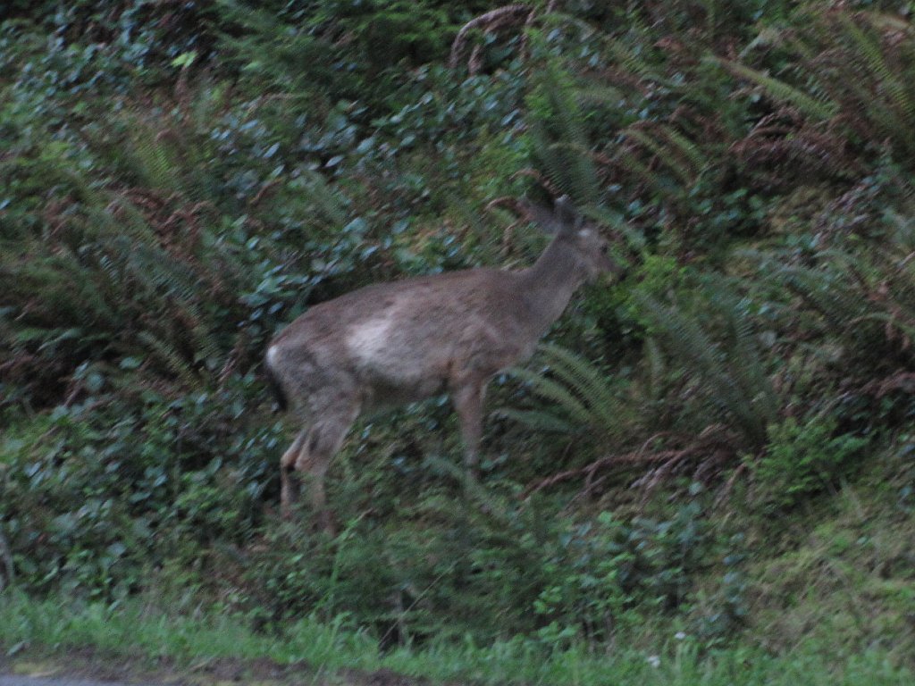 IMG 3694