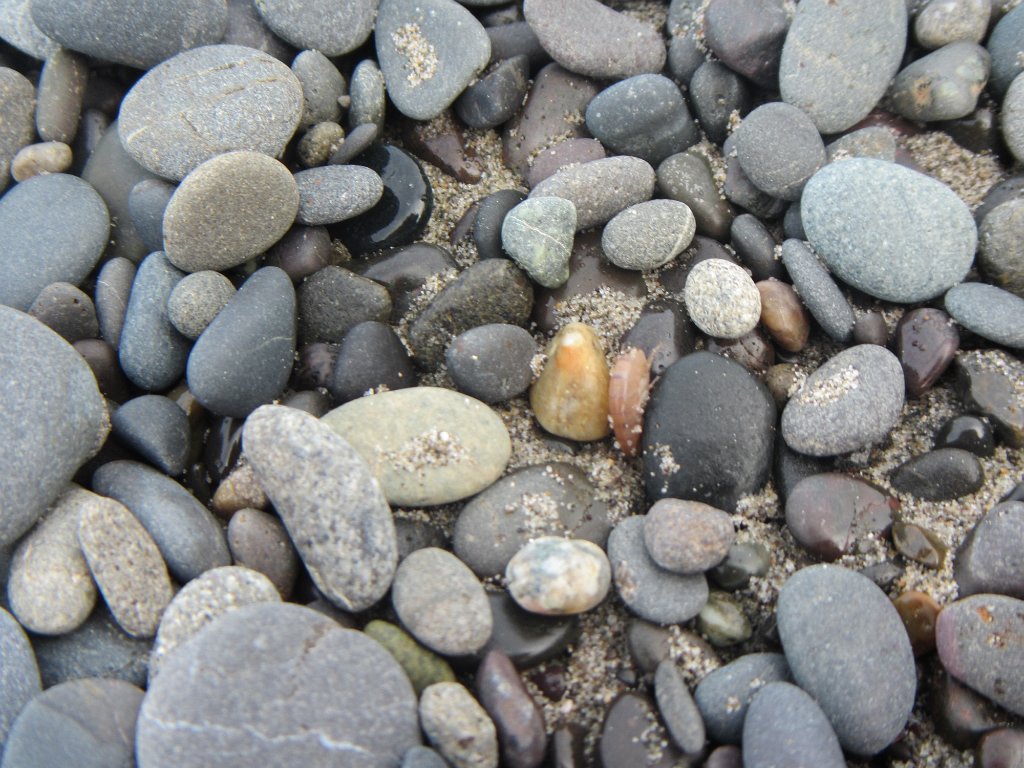 IMG 2347