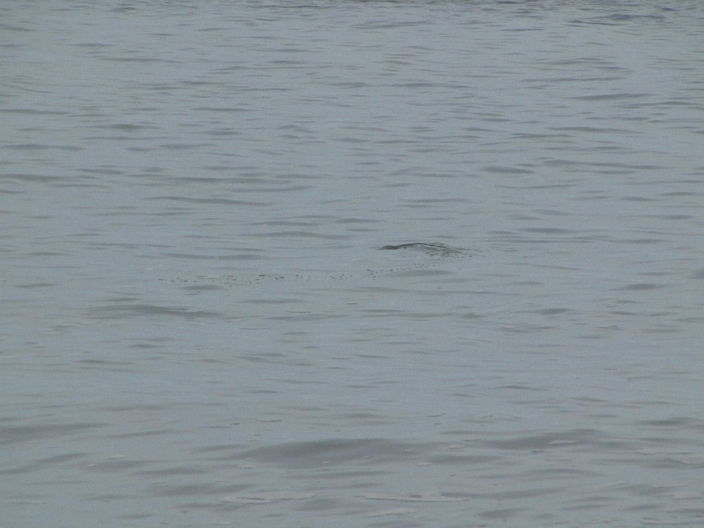 IMG 3719
