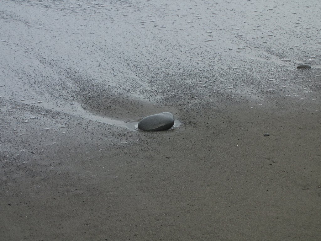 IMG 3725