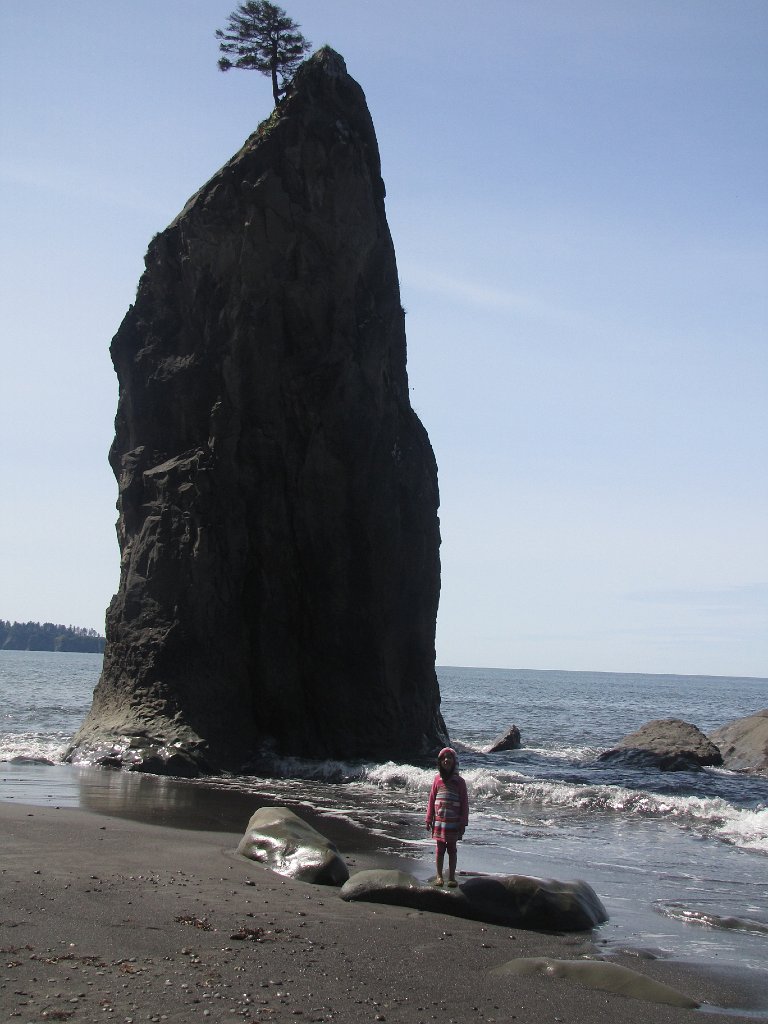 IMG 3786
