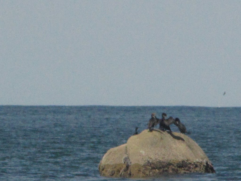 IMG 3791