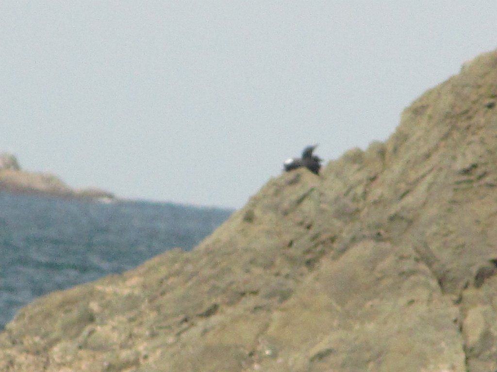 IMG 3828