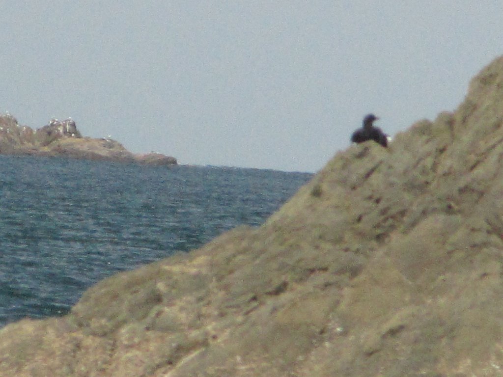 IMG 3829