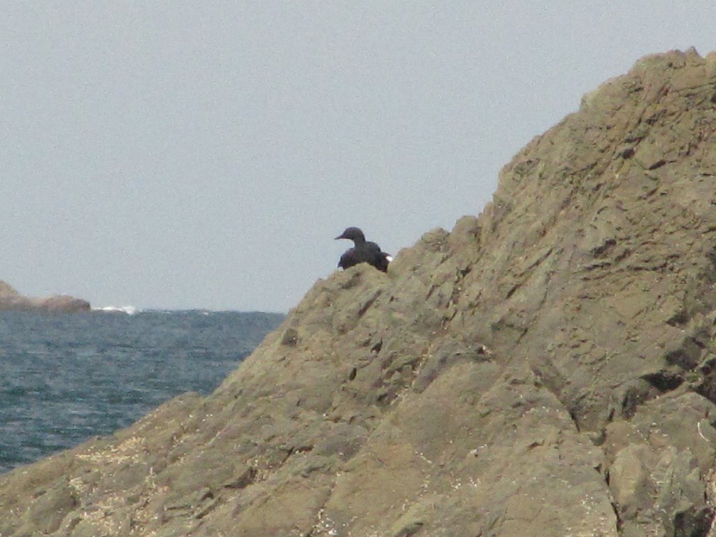 IMG 3832