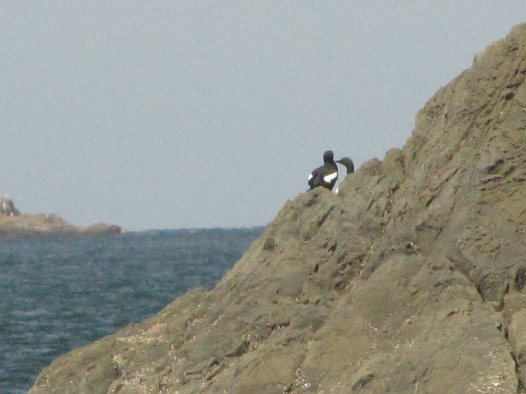 IMG 3844