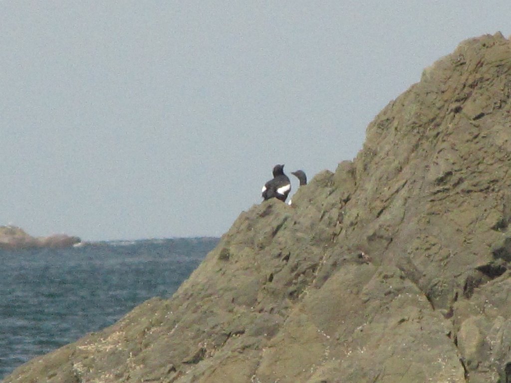 IMG 3845