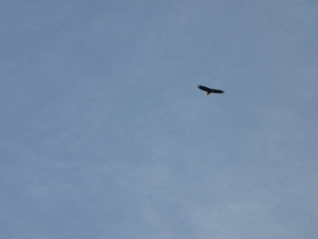 IMG 3858
