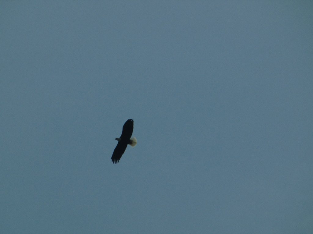 IMG 3861