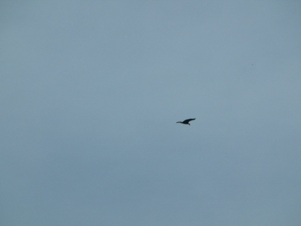 IMG 3862