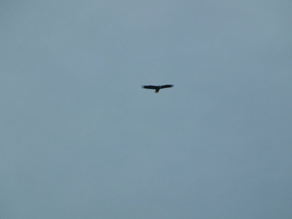 IMG 3864
