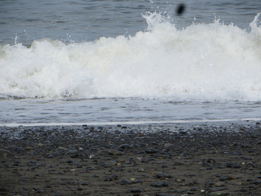 IMG 8142