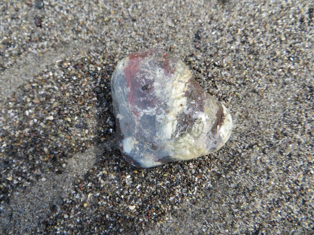 IMG 8149