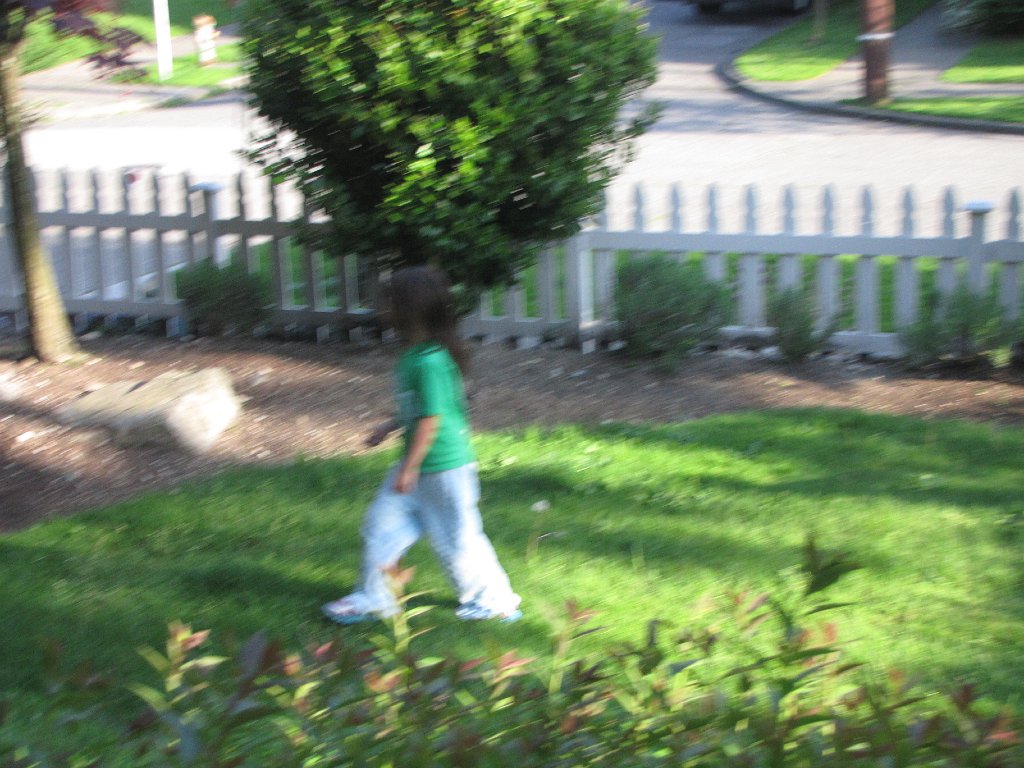 IMG 3000