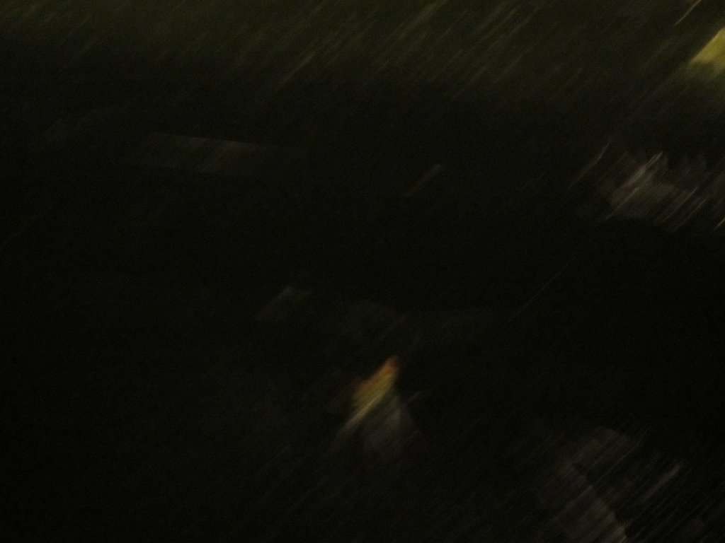 IMG 1819
