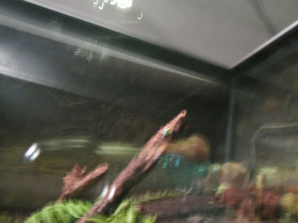 IMG 1834