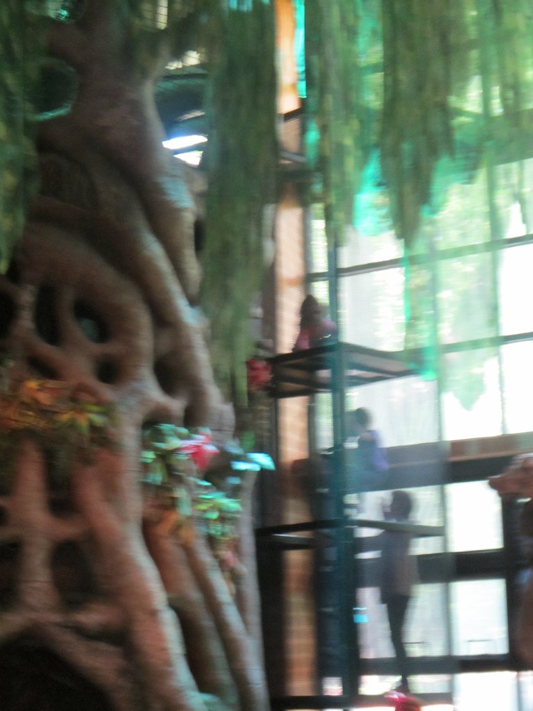 IMG 1926
