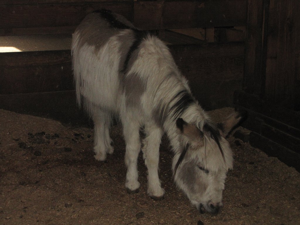 IMG 2605