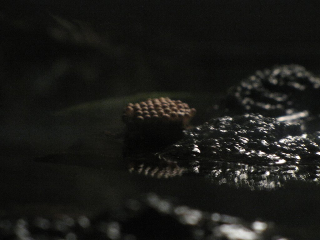 IMG 2624
