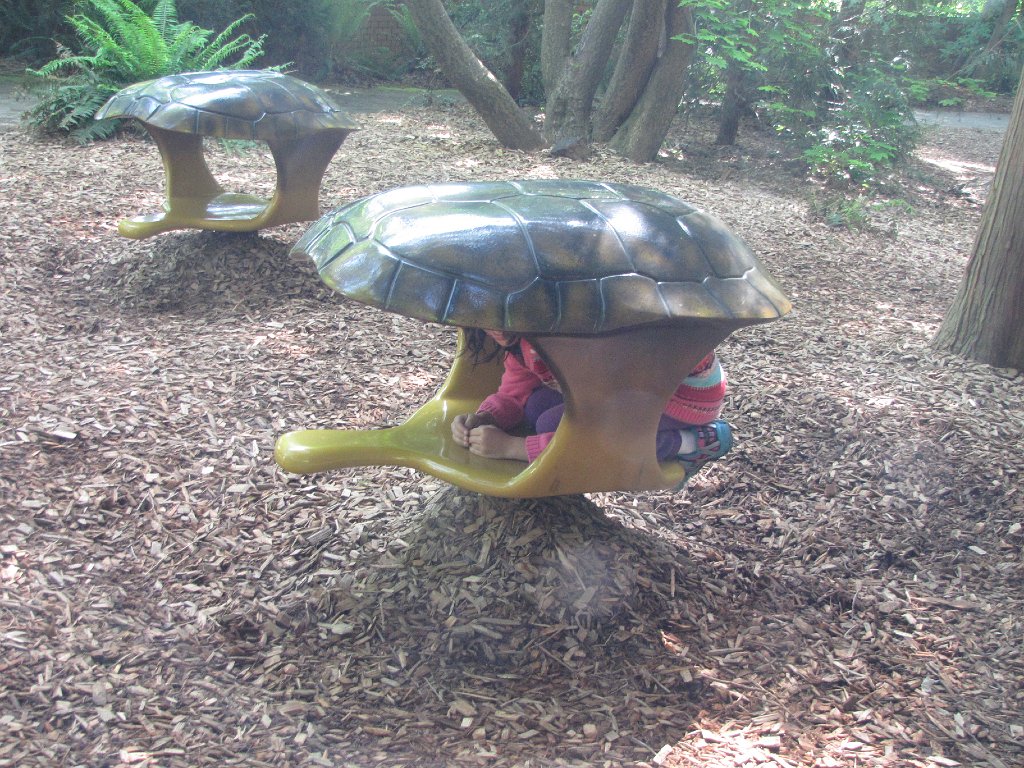 IMG 2642