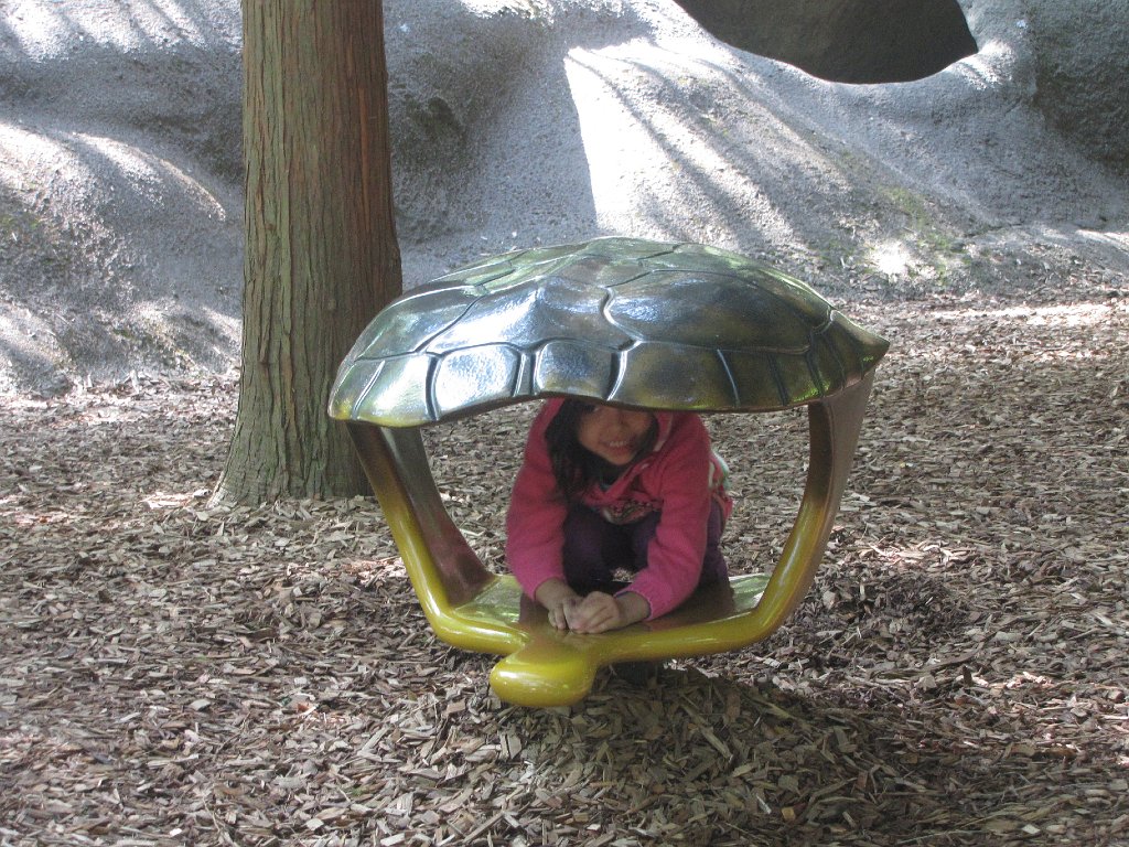IMG 2644
