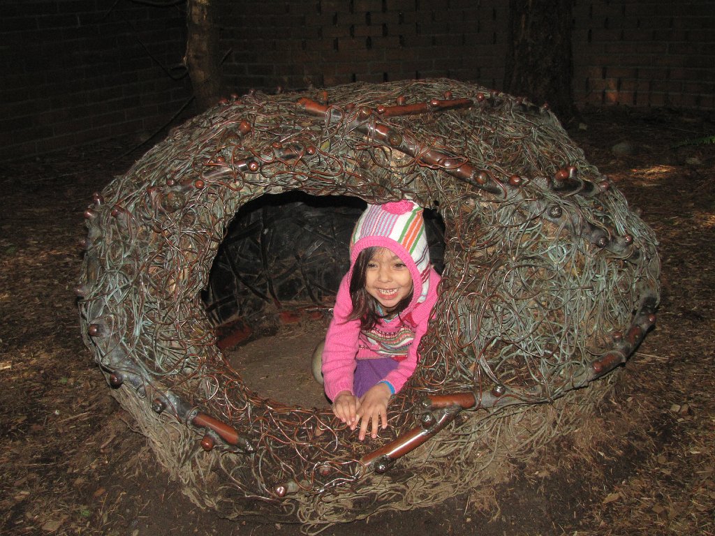 IMG 2649