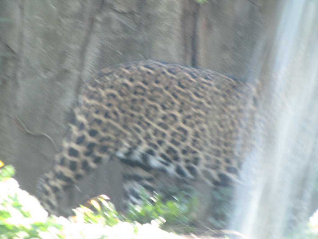 IMG 2666