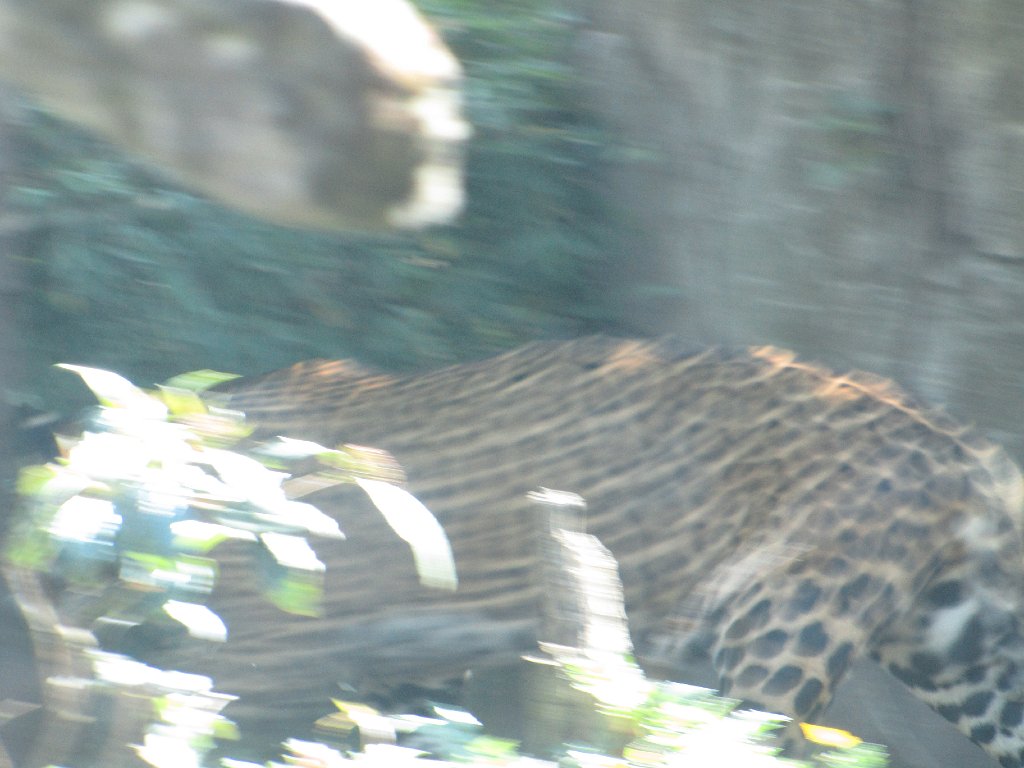 IMG 2670