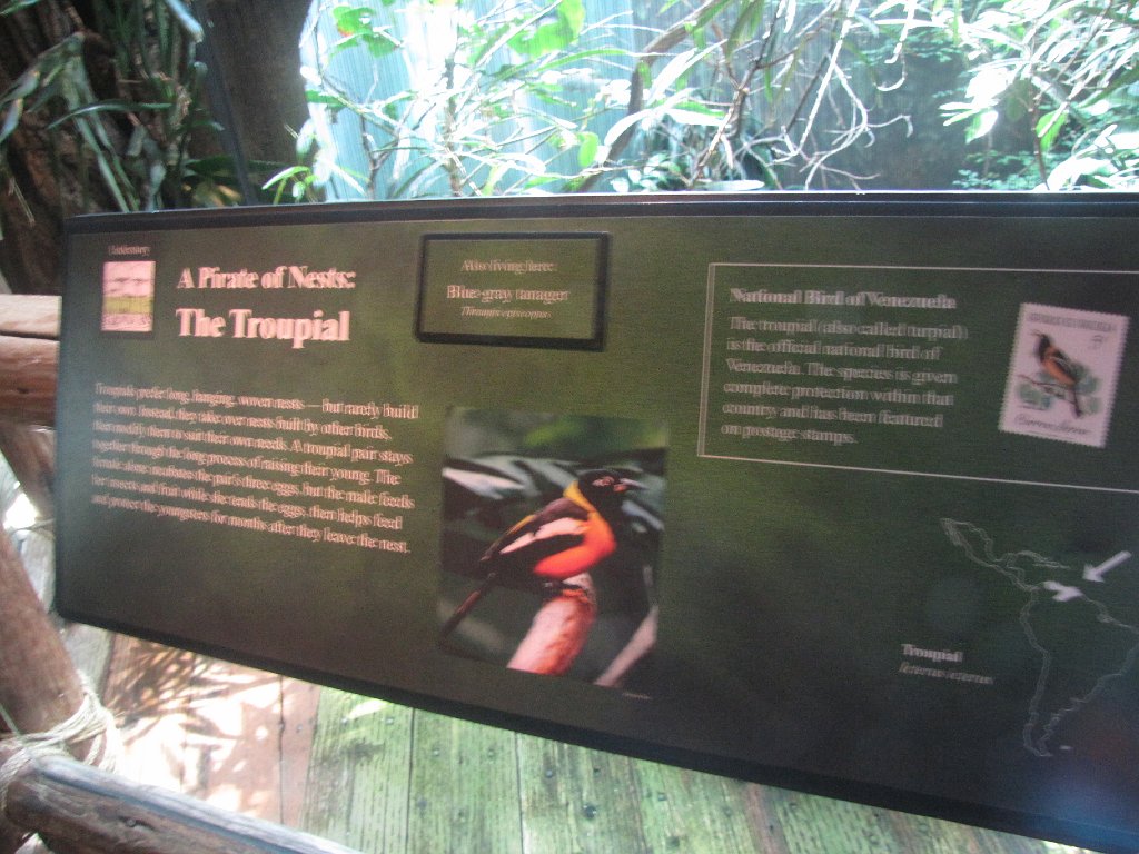 IMG 2677