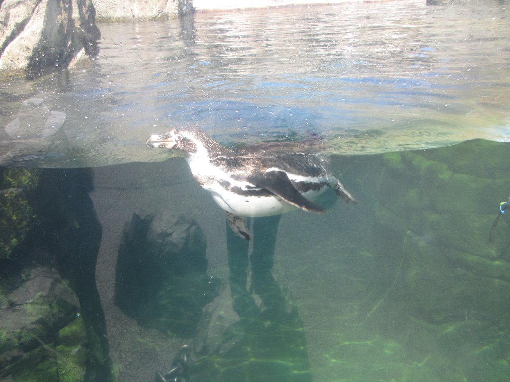 IMG 2709