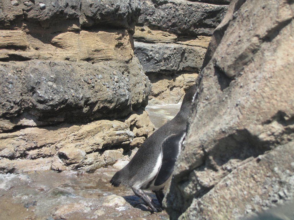 IMG 2718