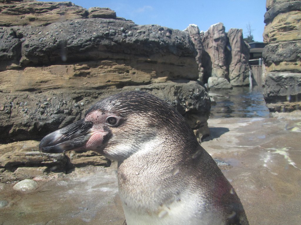 IMG 2725