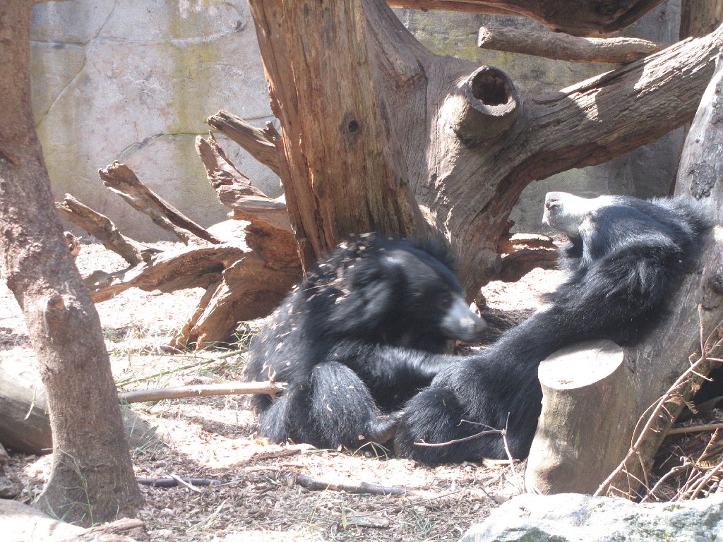 IMG 2753