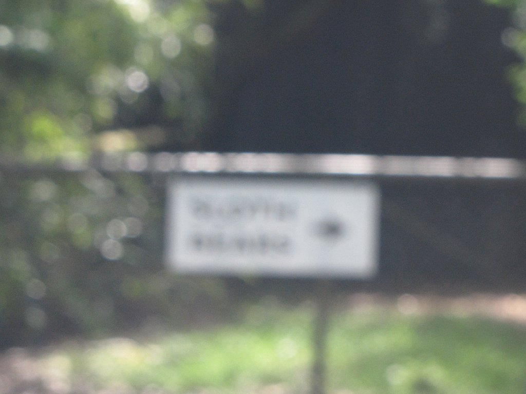 IMG 2759