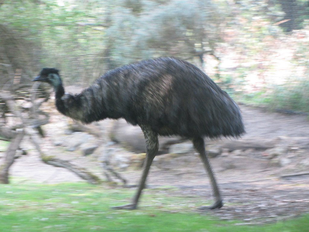 IMG 2790