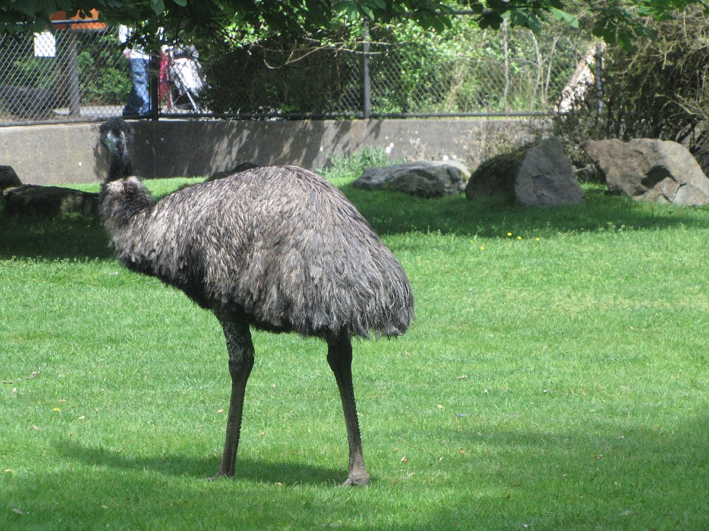 IMG 2793
